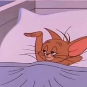 Meet your Posher, Ty